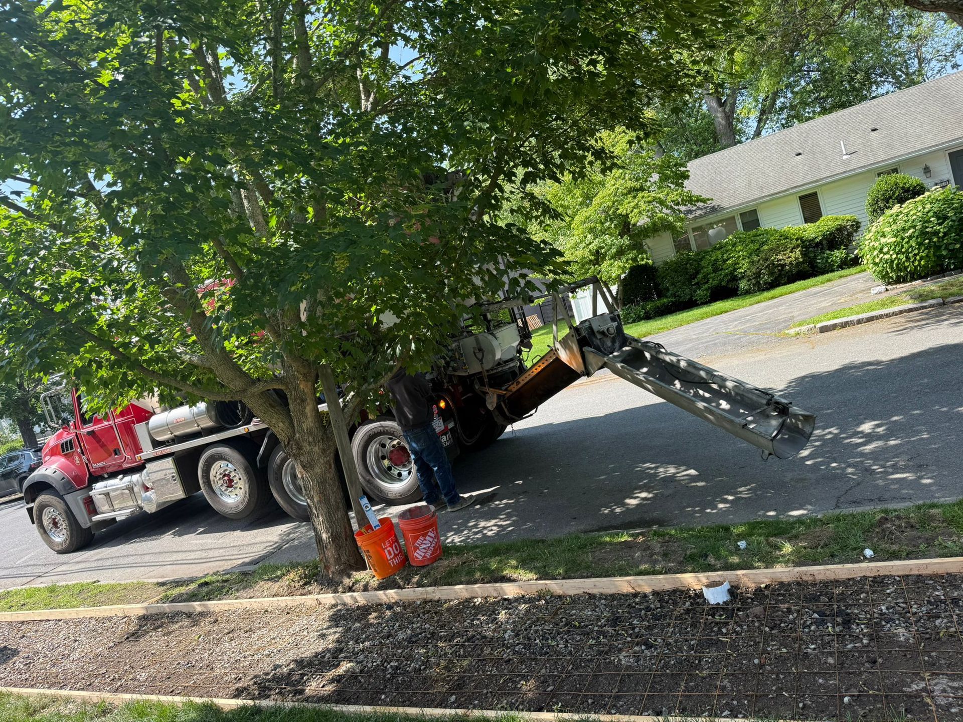 Red truck with a large arm extended, trimming a tree on a street. Green foliage and a white building in background.