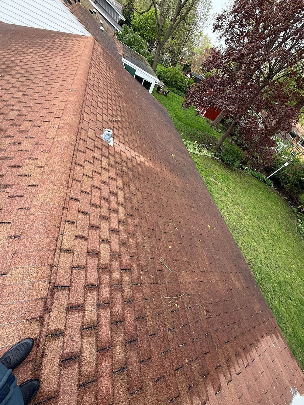 Red asphalt shingle roof, with dark streaks and debris. Lawn, trees, and sky in background.