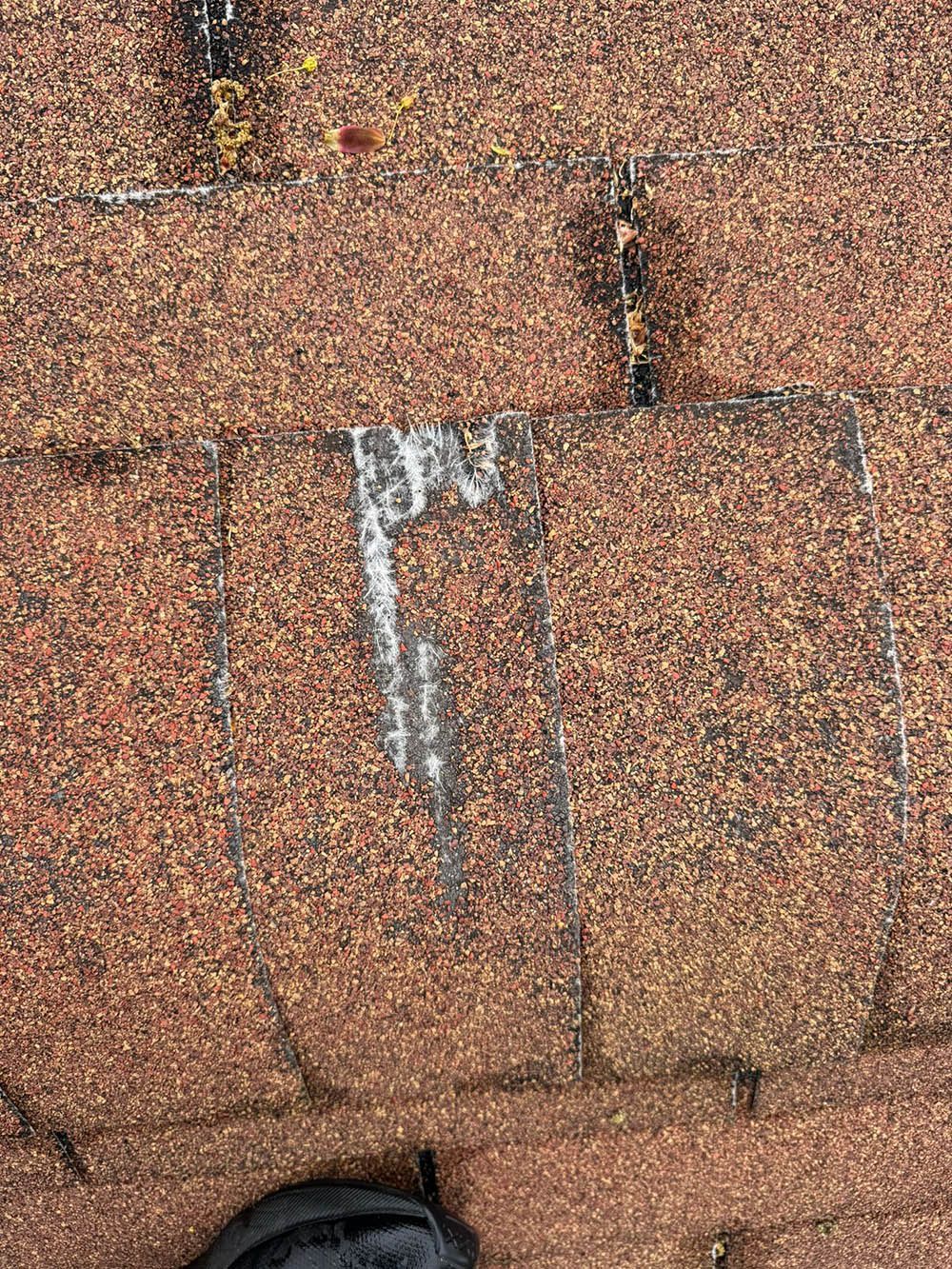 Close-up of a damaged brown asphalt shingle roof. White streak of discoloration on one shingle.