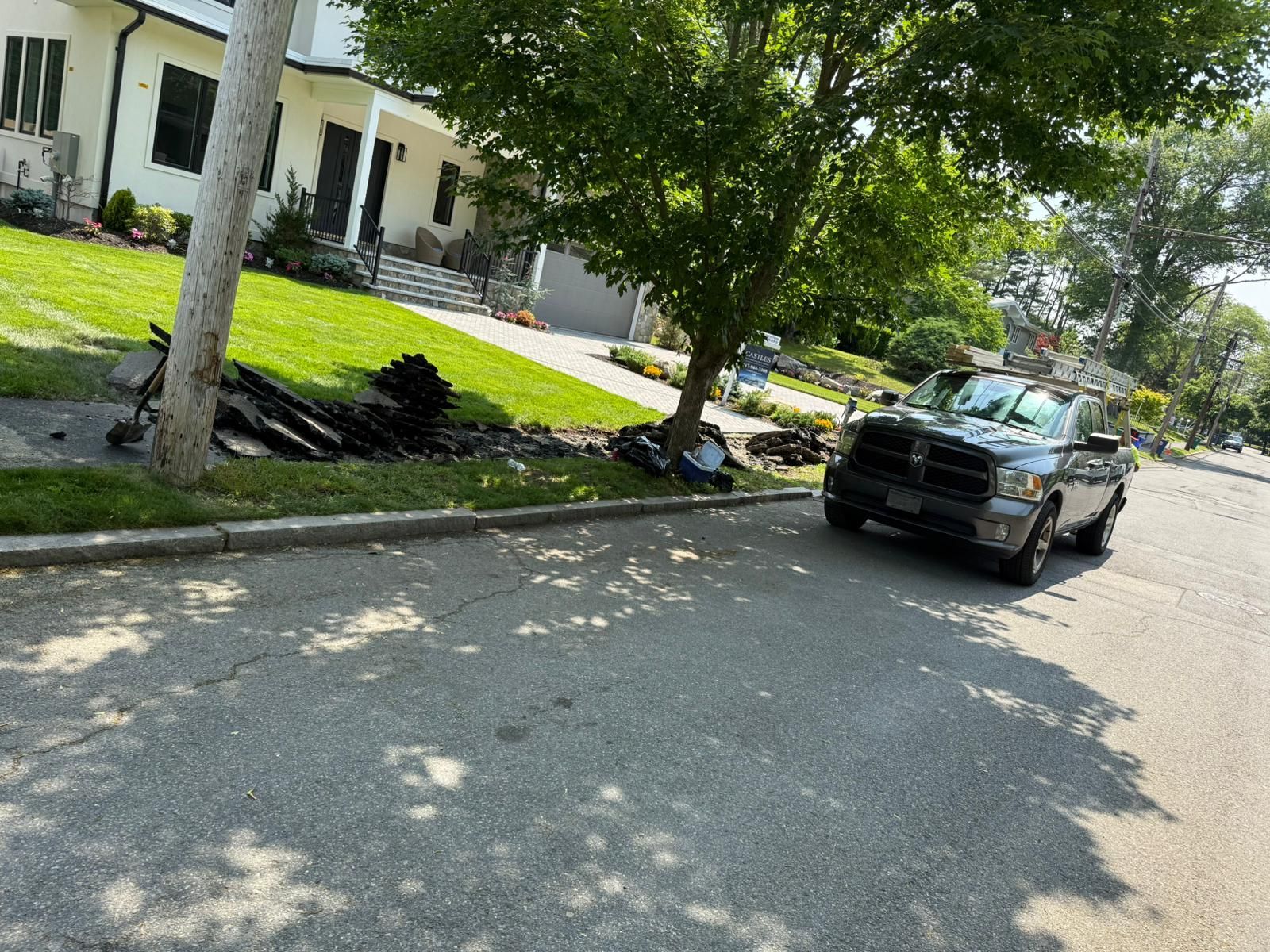 Gray pickup truck parked on street, next to a tree and a grassy lawn. House in the background.