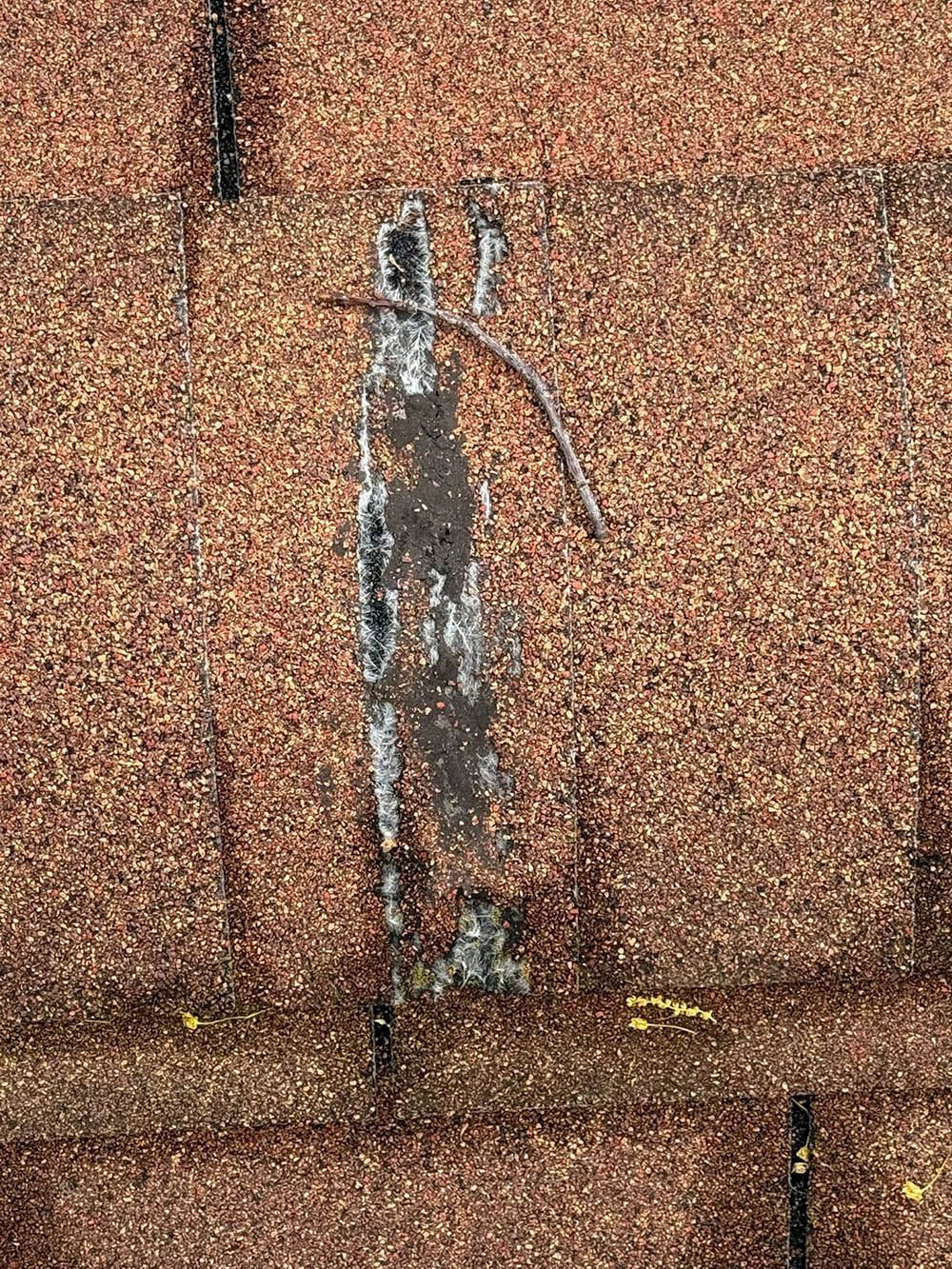 Damaged brown asphalt roof shingles with a dark vertical streak and a small stick.