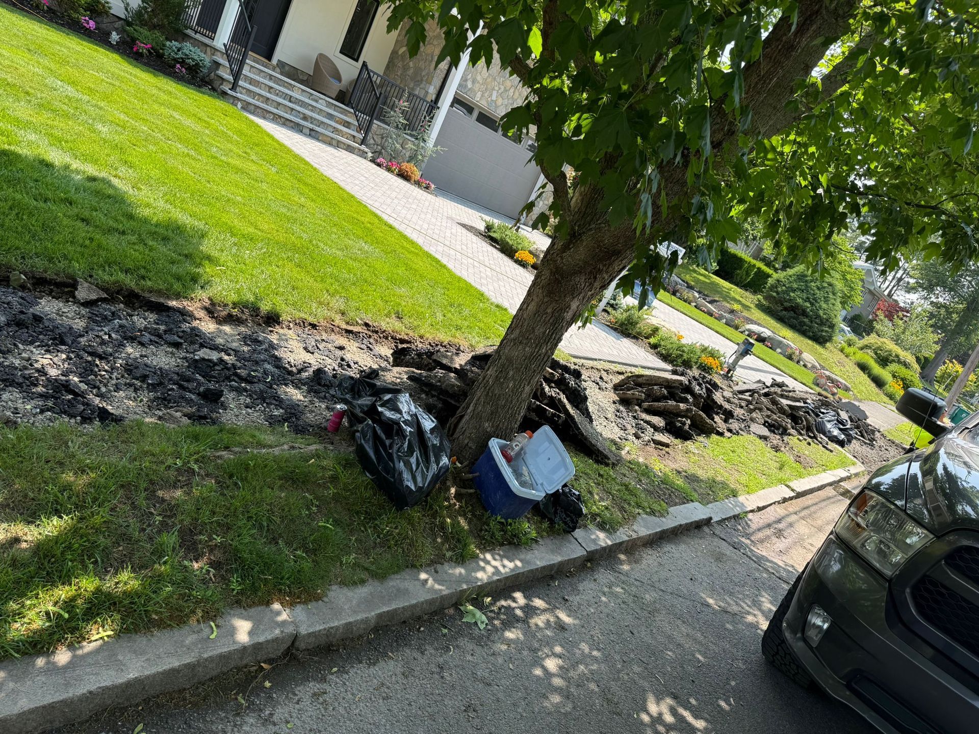 Tree next to debris pile and trash bags on a grassy verge, beside a street. A house is visible in the background.
