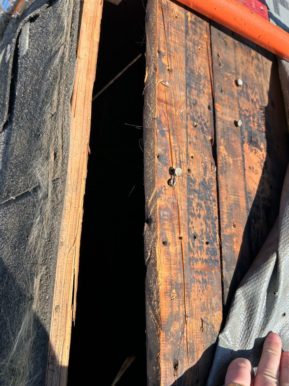 Dark interior with wooden planks, black tarp, and orange object visible.
