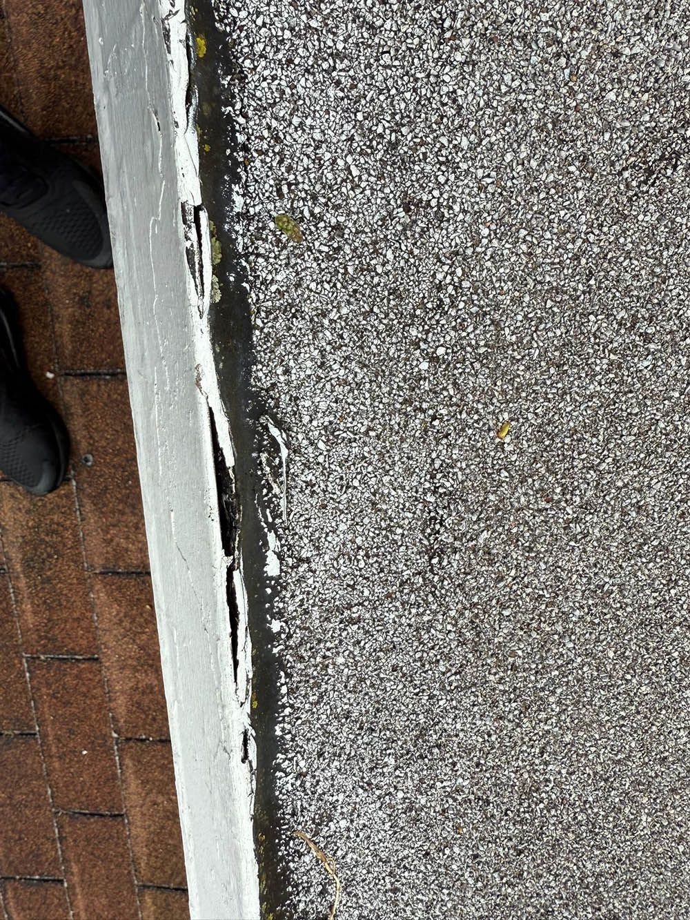 Close-up of a roof edge showing peeling paint on a white board and asphalt shingles with dark flecks.