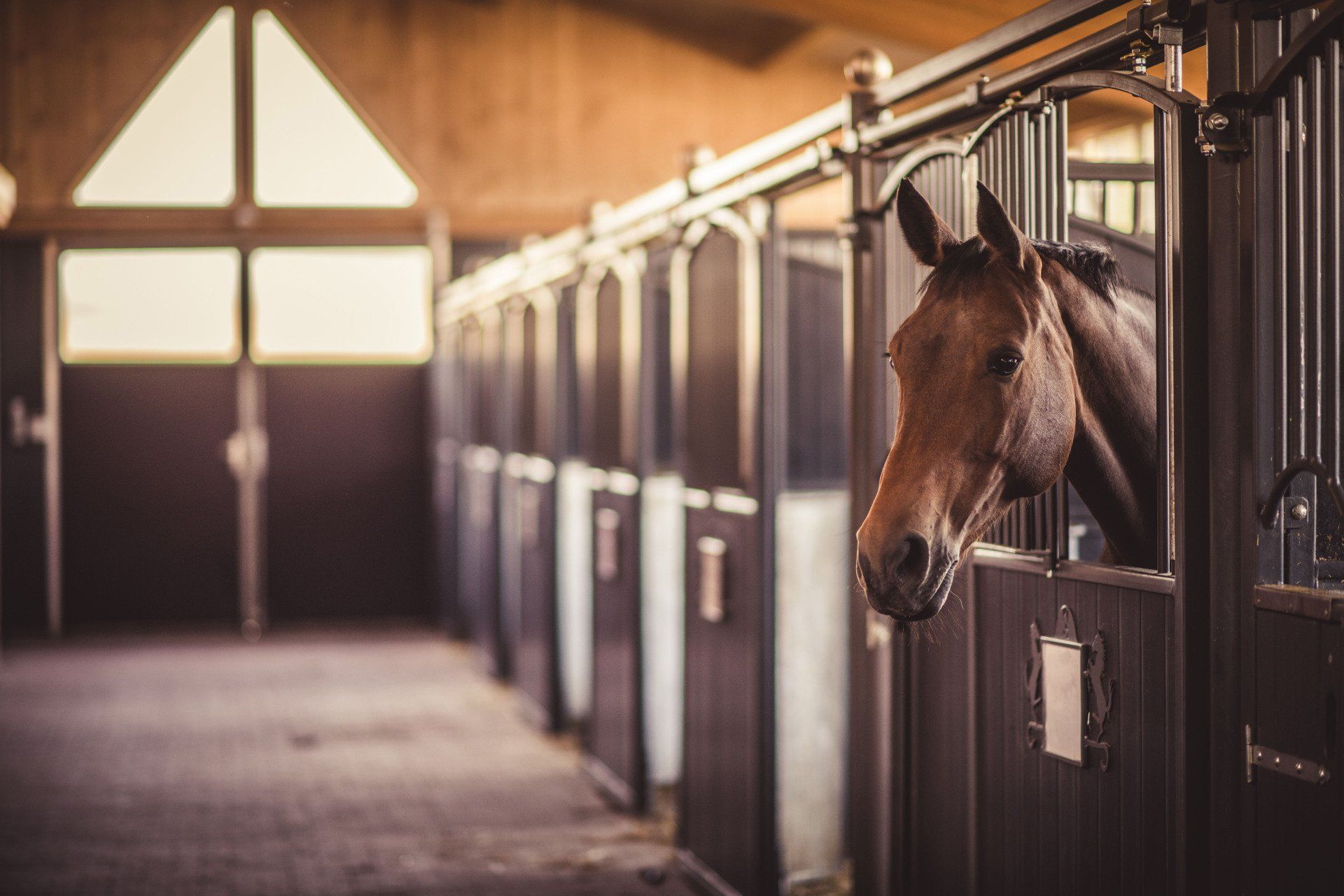 Horse barn
