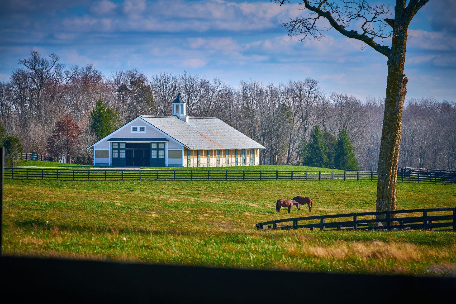 Two horses are grazing in a field in front of a barn.