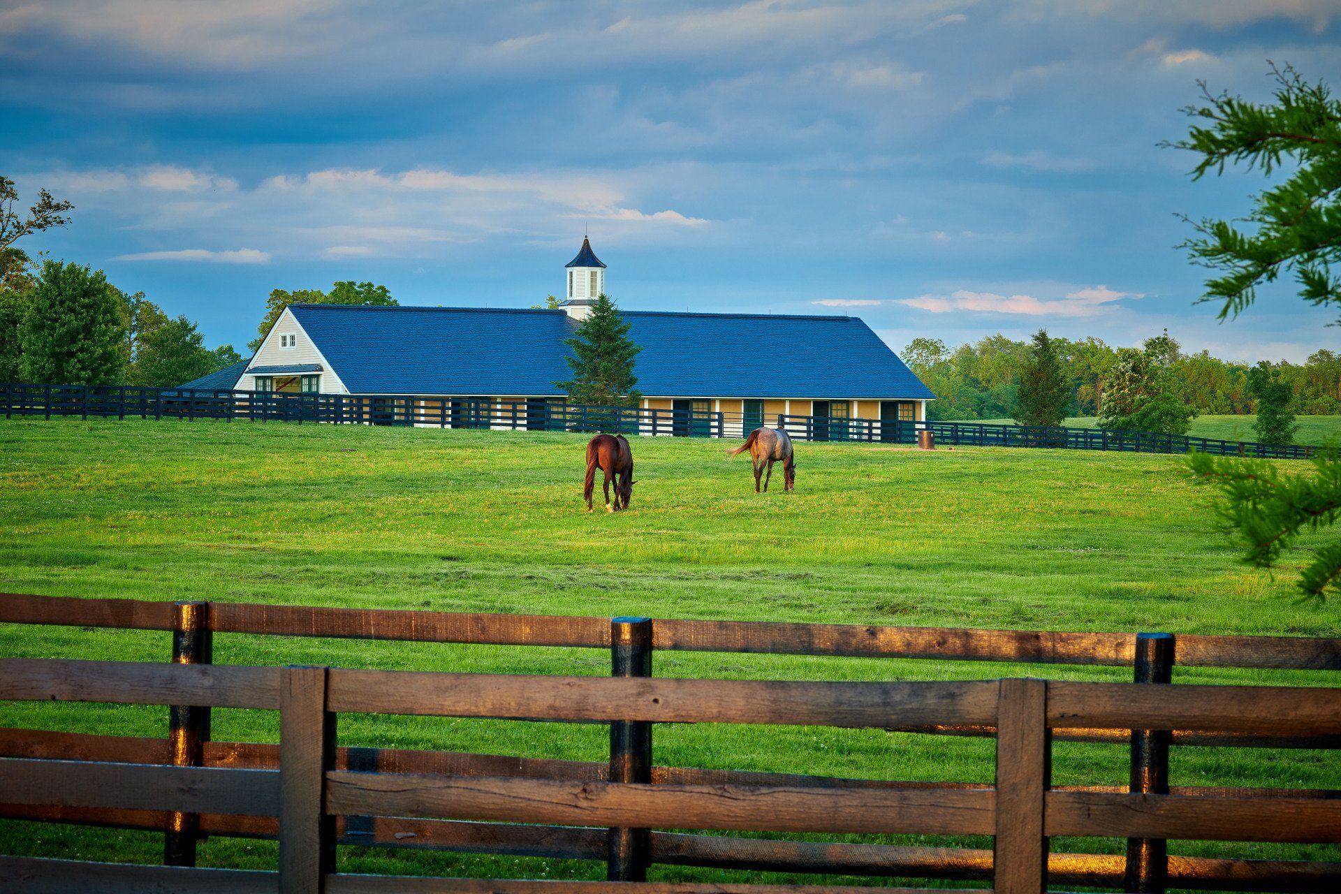 Two horses are grazing in a field with a barn in the background behind a wooden fence.