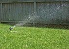 Sprinkler