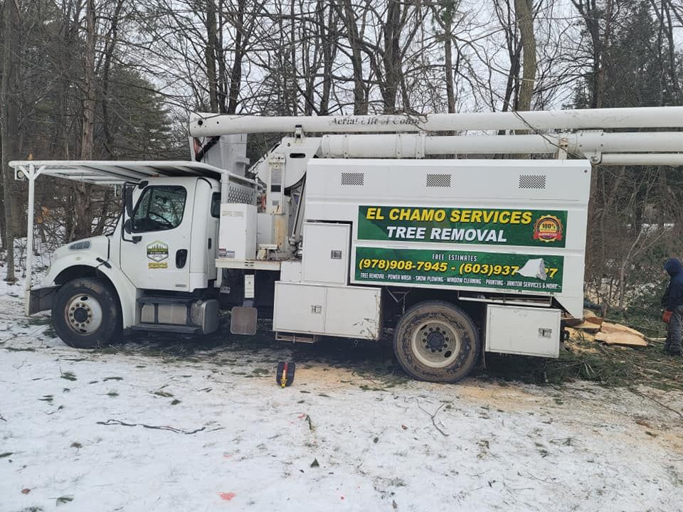 Tree removal truck with lift, parked in snowy woods. "El Chamo Services" logo on side.