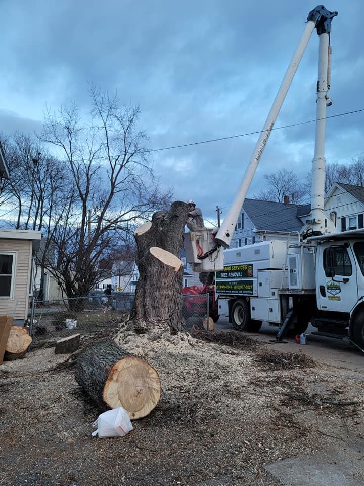 Tree removal in progress with a large crane truck, logs on the ground, and a cloudy sky.