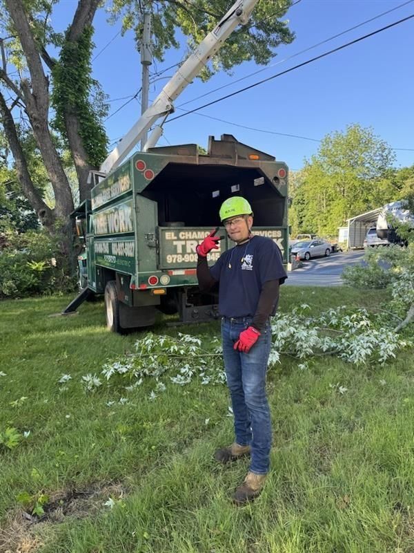 Man in safety gear points to head, standing in front of a tree service truck, grassy yard.