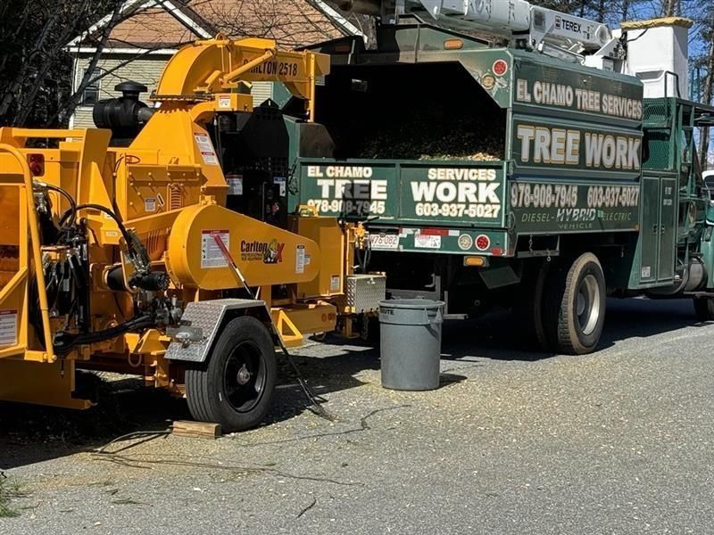 Yellow wood chipper grinding wood into a green truck for El Chano Tree Services.