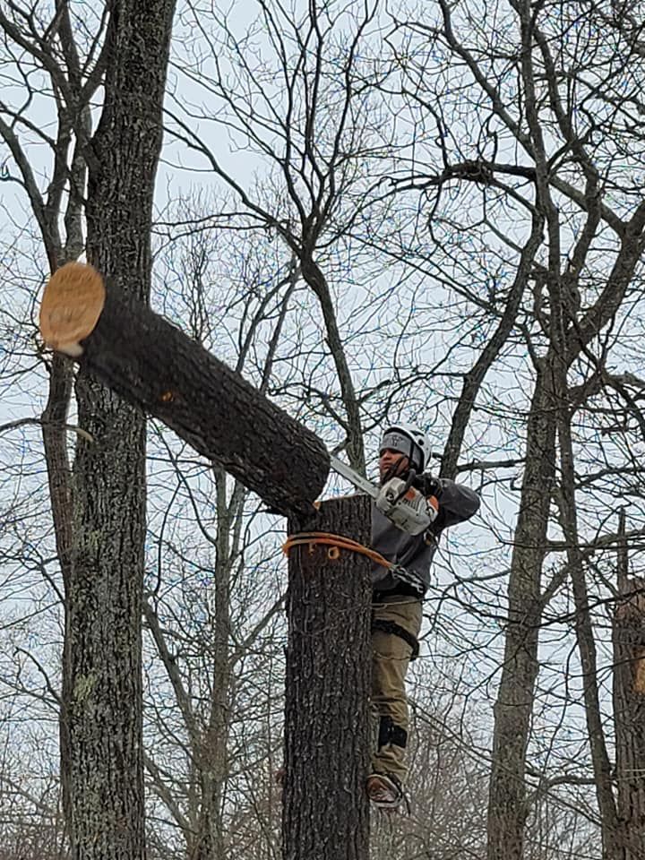 Man with chainsaw cutting a tree branch while secured to the trunk. Snowy, outdoor setting.