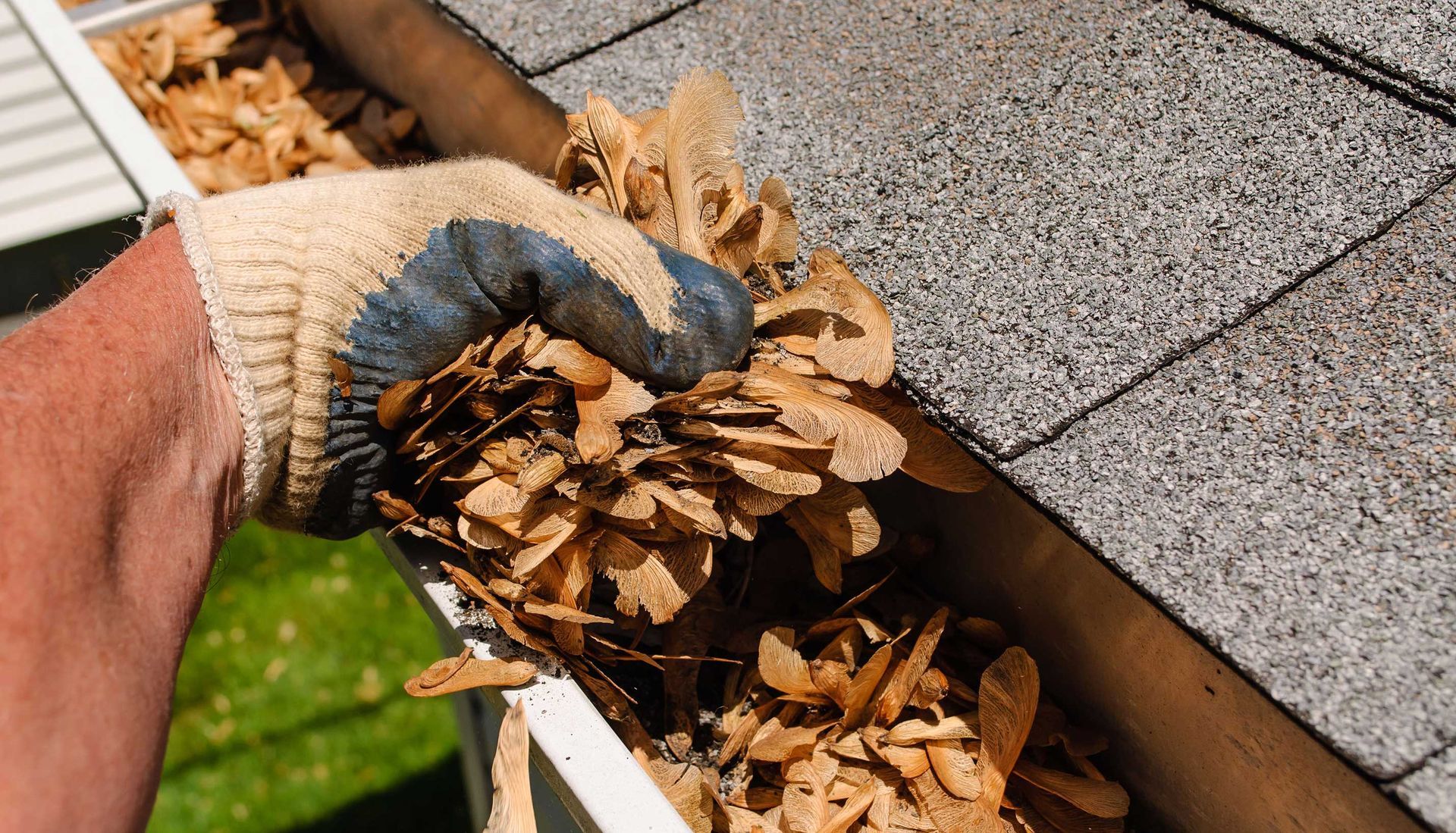 A person is cleaning a gutter of leaves from a roof.