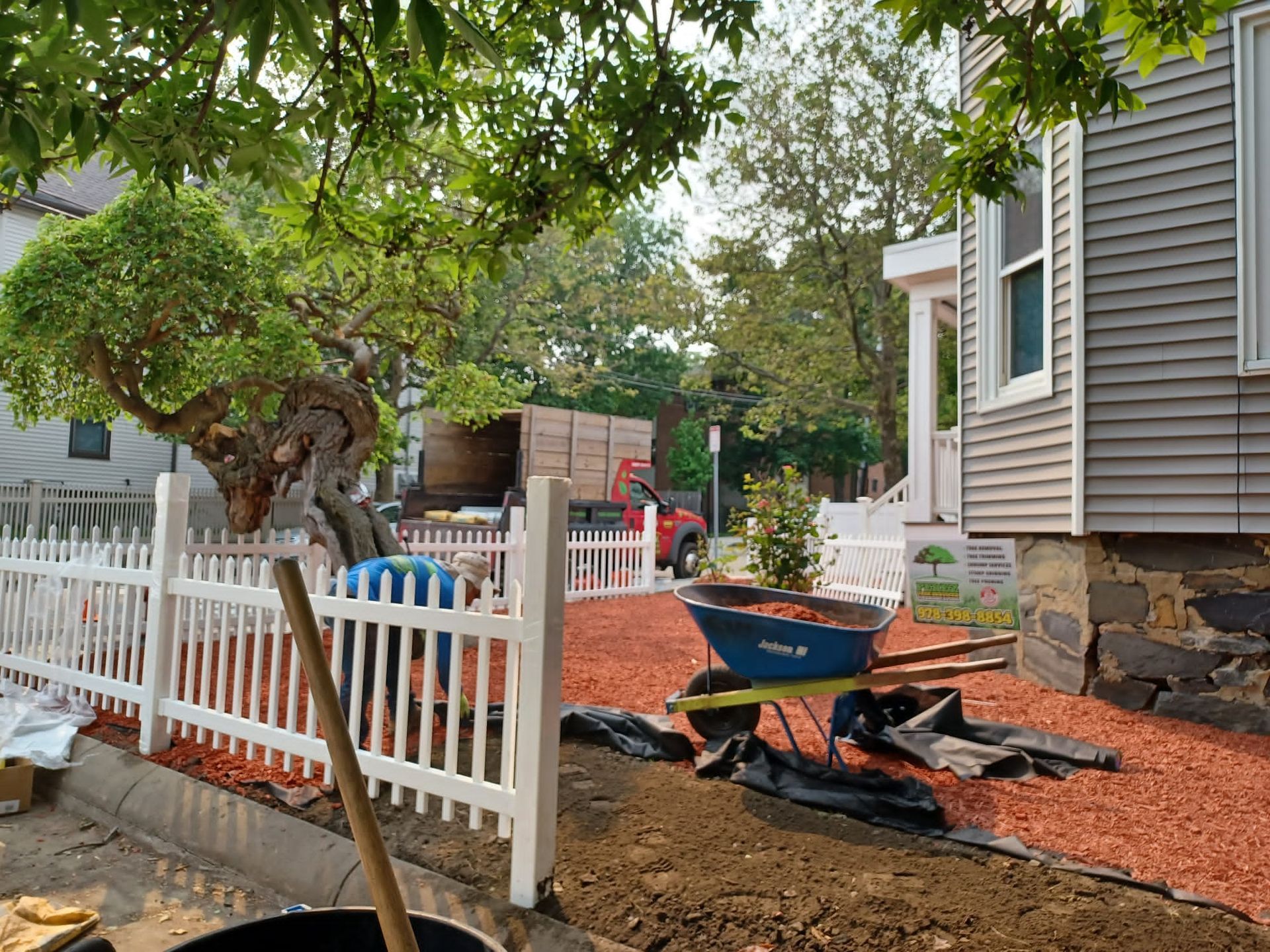 Tree service and cleaning