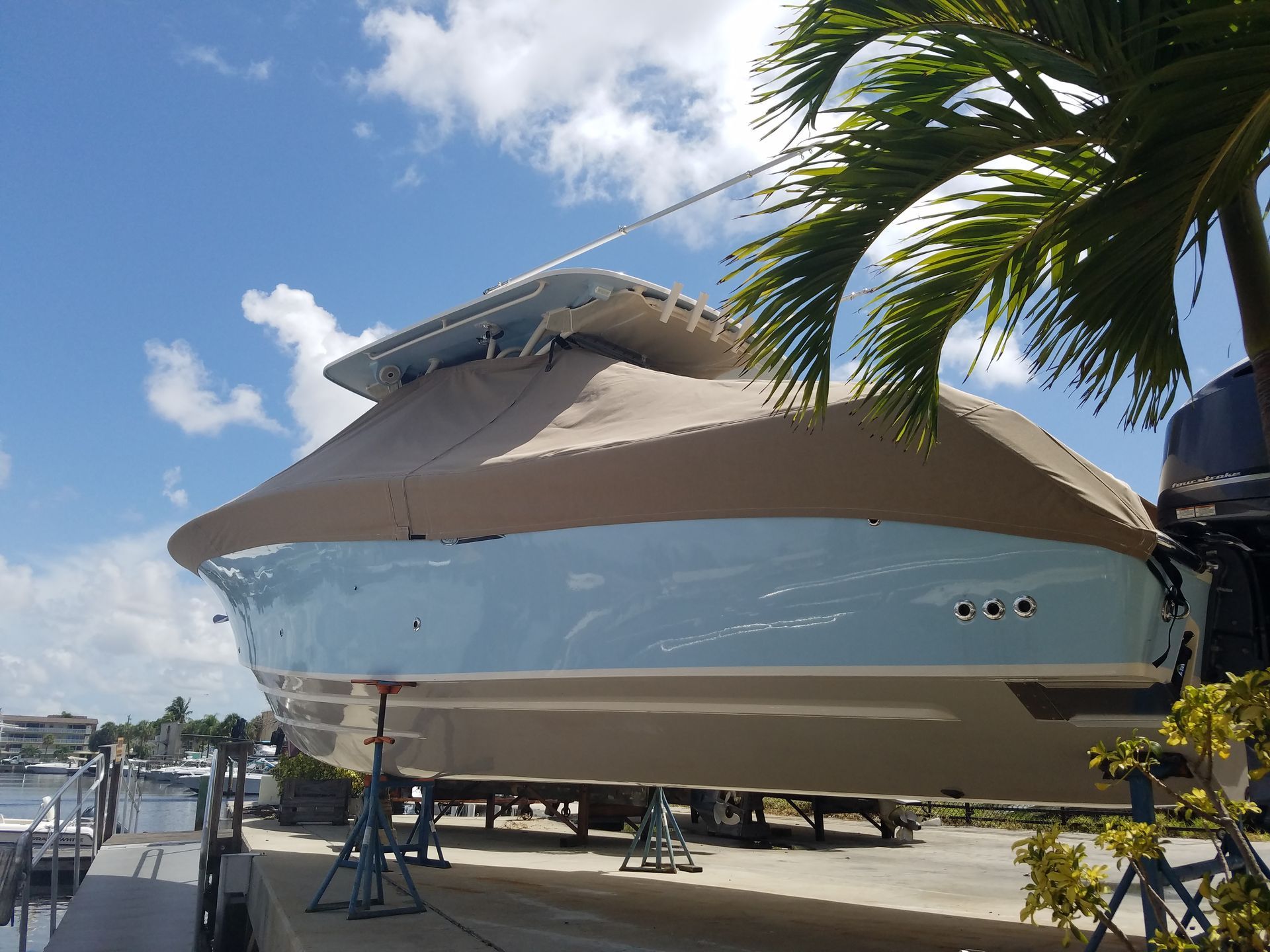 A boat is sitting on a dock next to a palm tree.