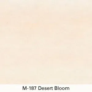 Pale beige abstract background with the caption “M-187 Desert Bloom” at the bottom