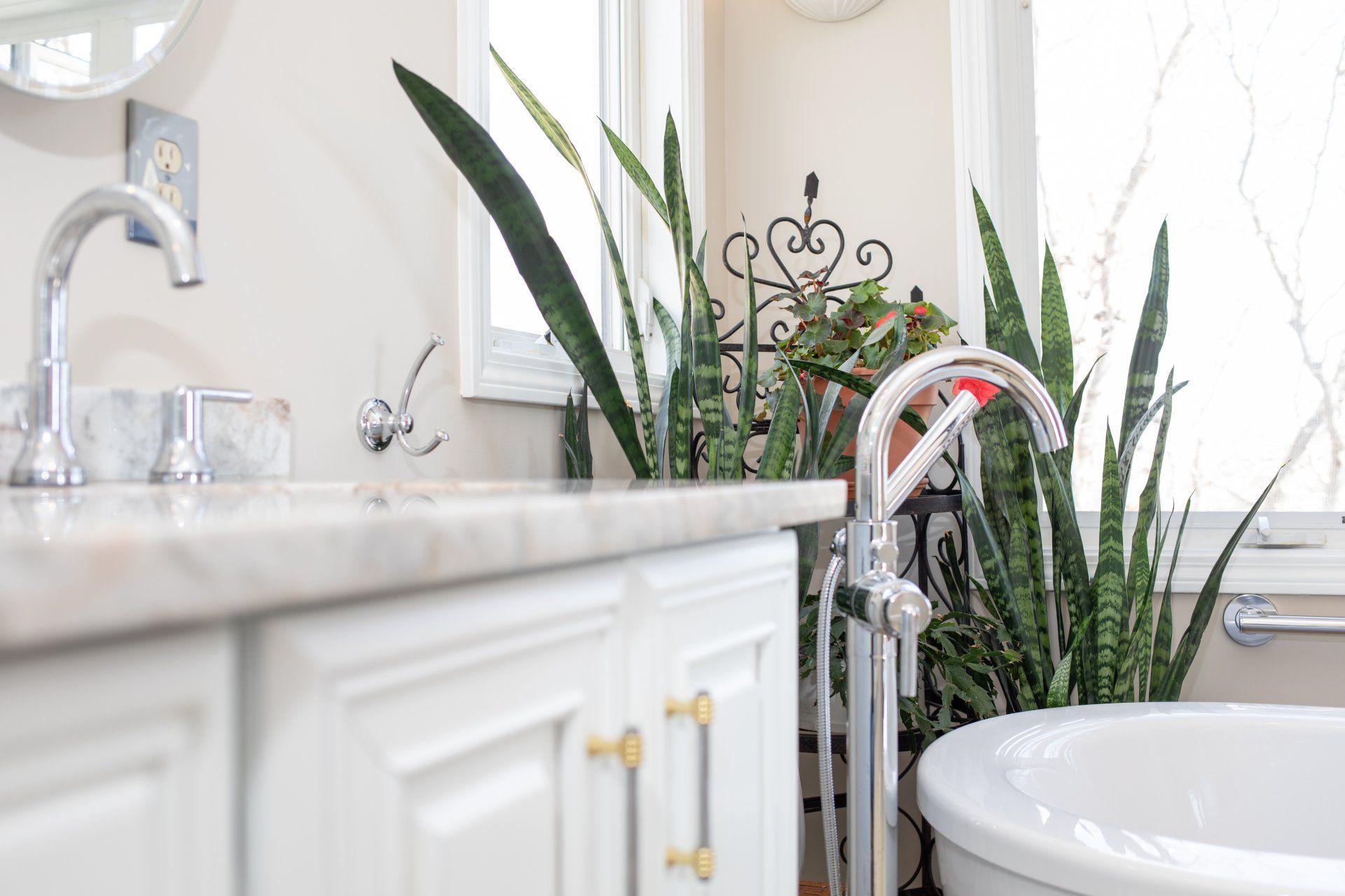 A bathroom with a sink , tub , and plants.