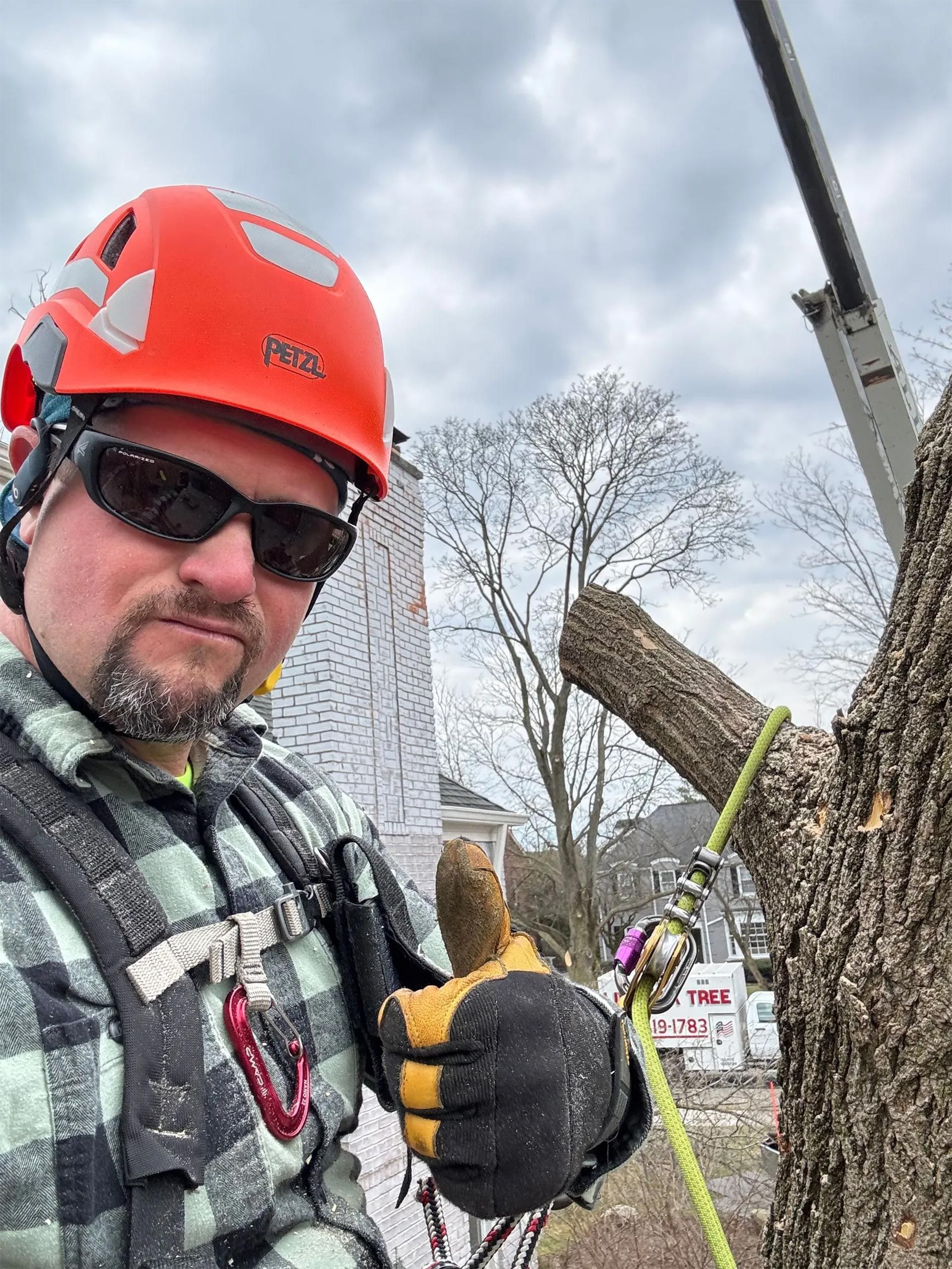 Live Oak Tree Company, Inc