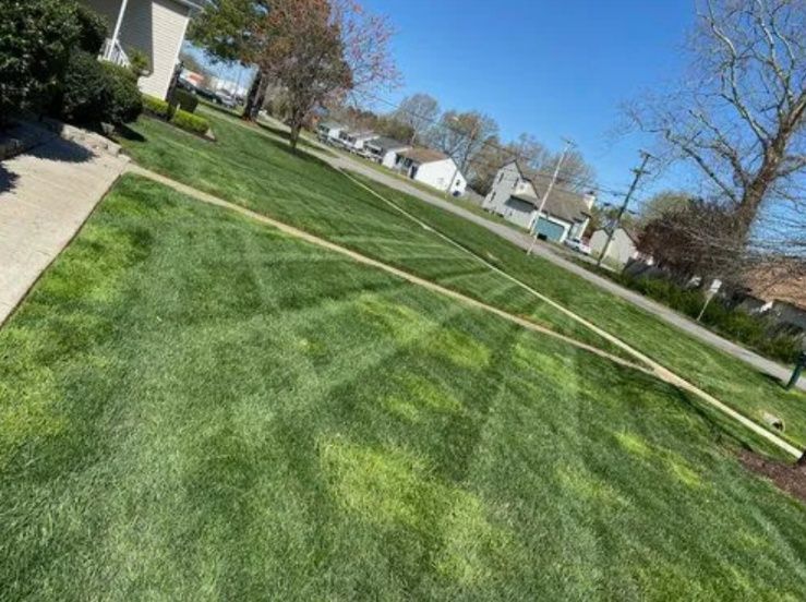 Tilted view of a green suburban lawn with sidewalks, trees, and houses under a bright blue sky
