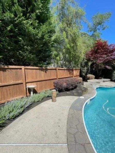 Curved backyard pool beside a wooden fence, lush trees, and a landscaped concrete patio.
