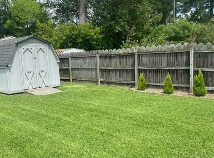 Backyard with a white shed, wooden fence, and neatly trimmed green lawn