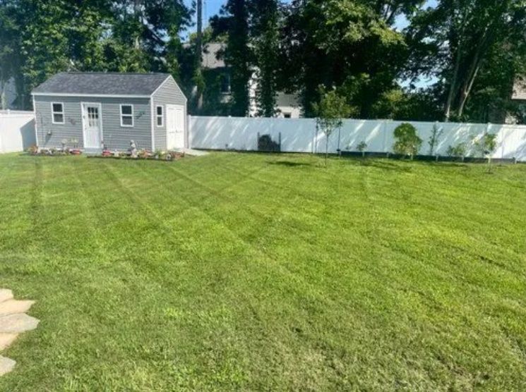 Backyard with a gray shed, green lawn, and white fence under trees.