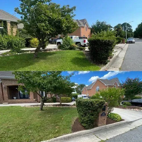 Suburban street with brick houses, green lawns, trees, hedges, and parked cars under a clear blue sky