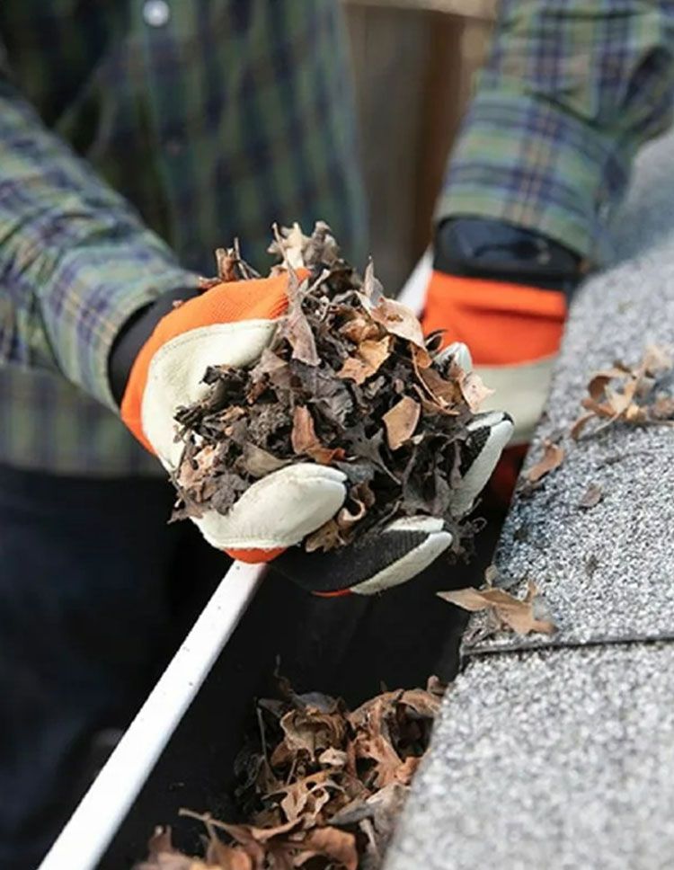 Gloved hands scoop dry leaves and debris from a gutter beside a roof