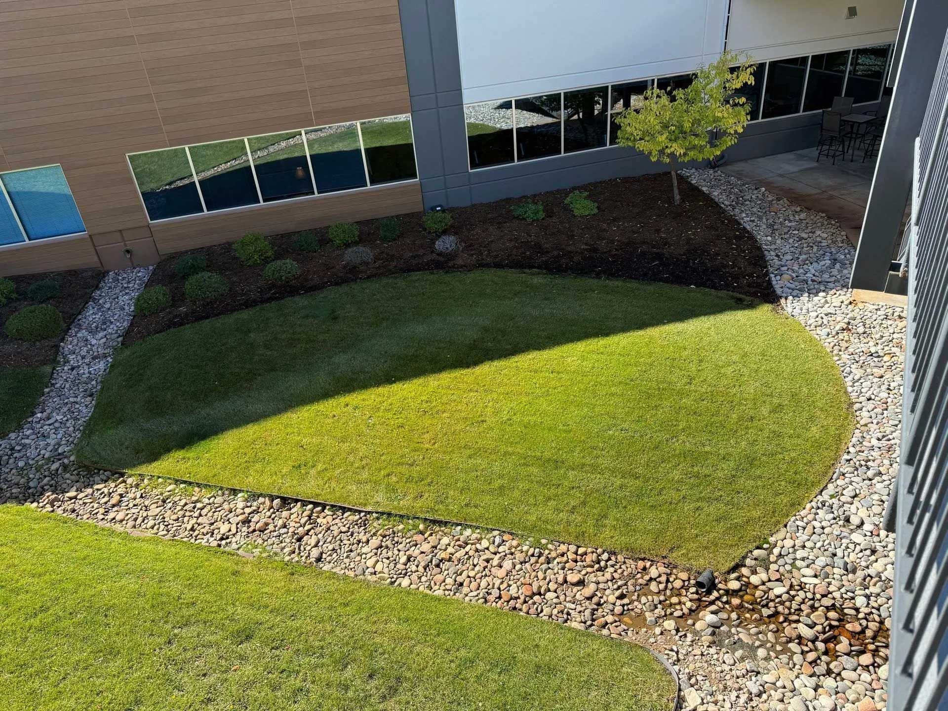 Green lawn and stone path in a courtyard setting, bordered by buildings with reflective windows.