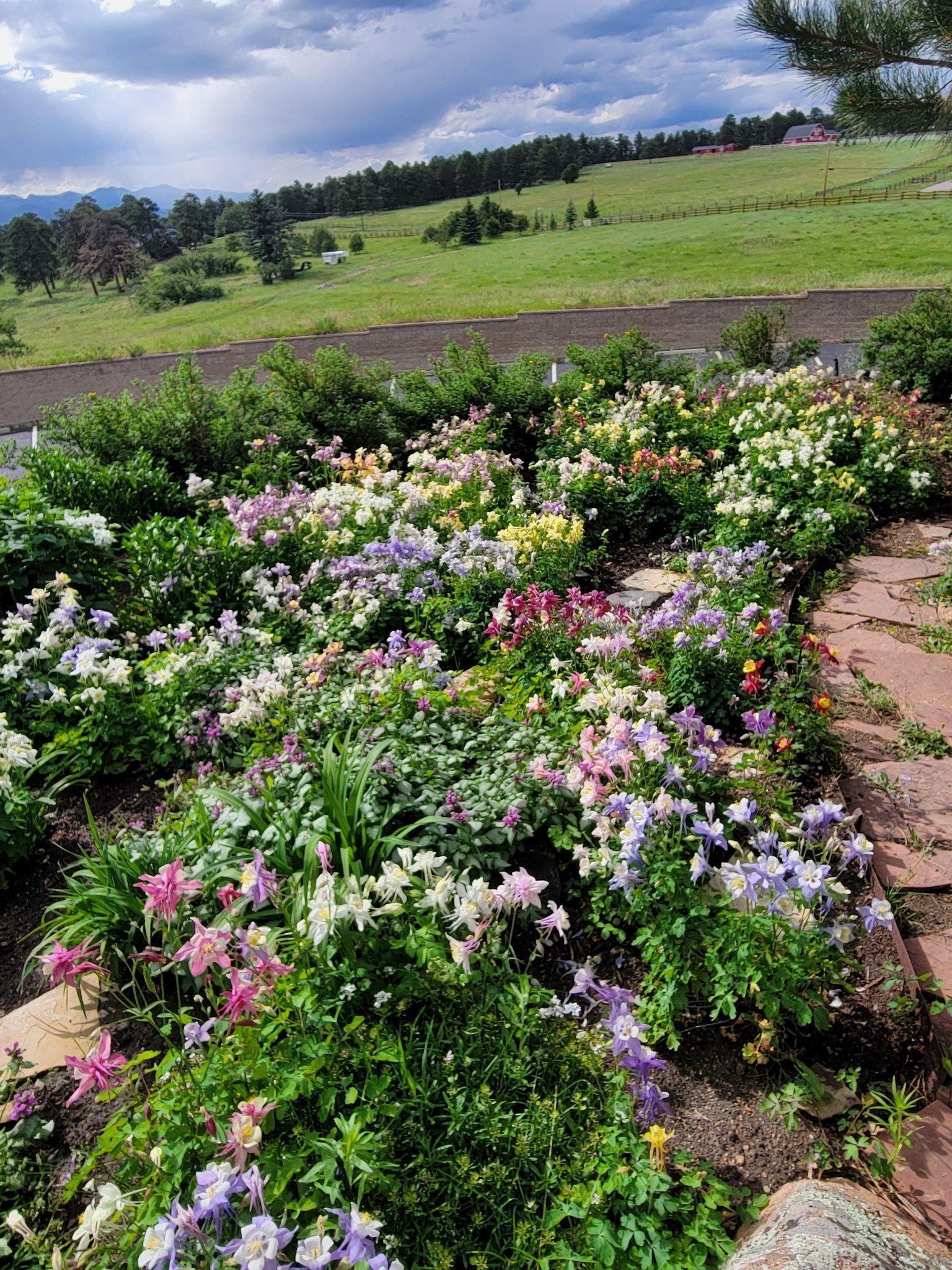 Colorful flower garden with green grass, a hill, and cloudy sky.
