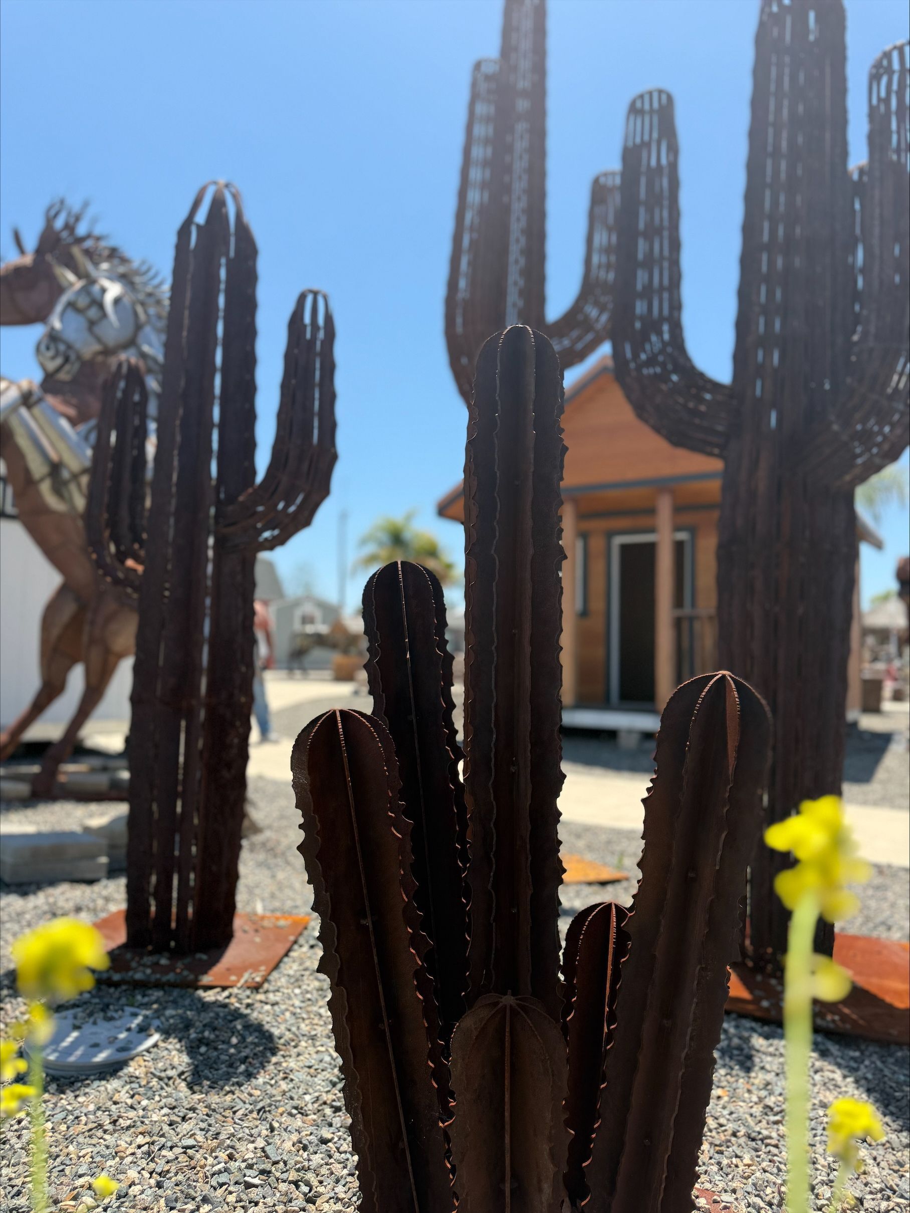 A statue of a man riding a horse is behind a cactus