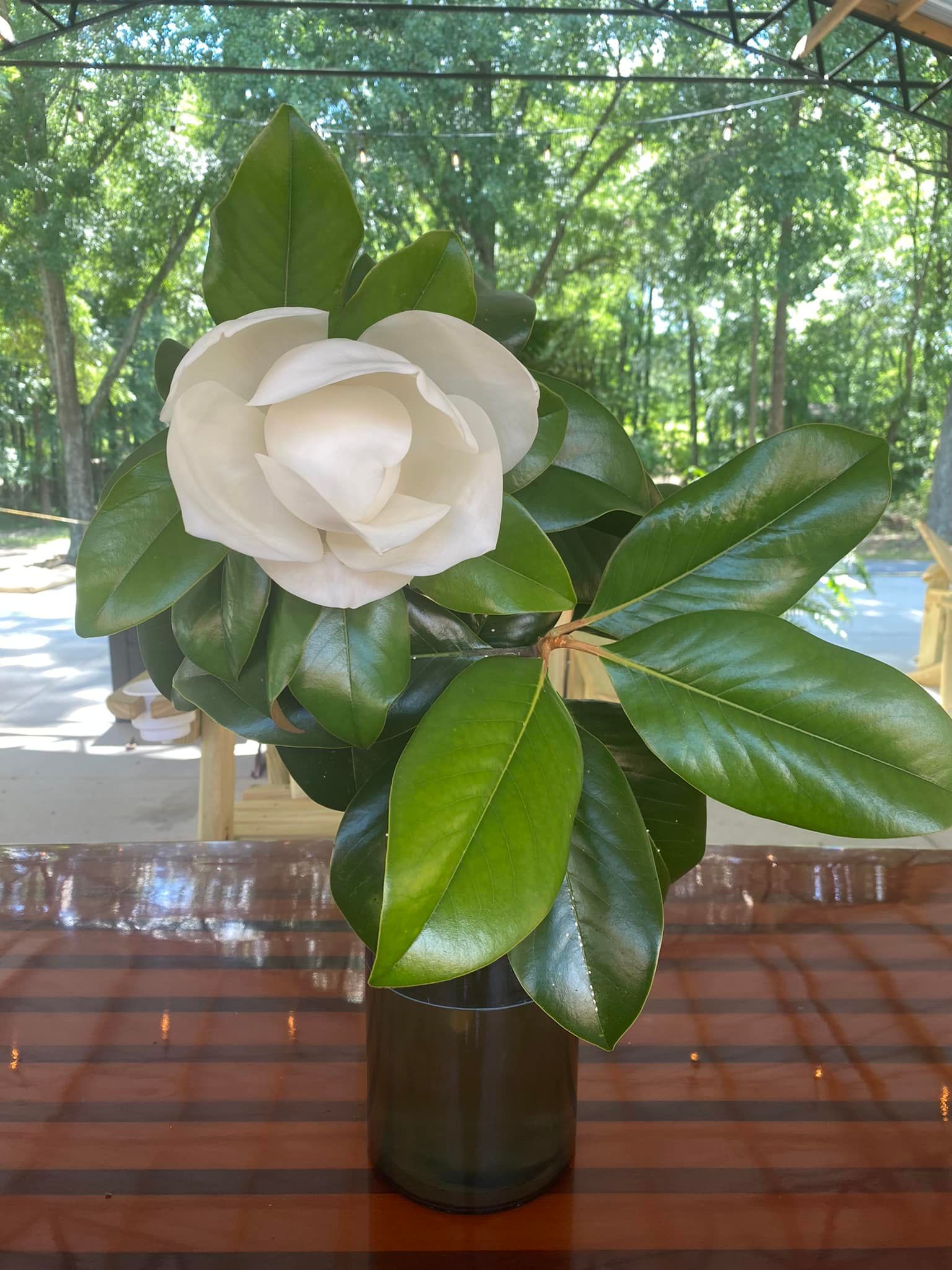 Magnolia flower arrangement in a dark glass vase; creamy white petals, glossy green leaves, wooden table.