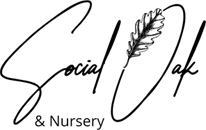 The Social Oak | Logo