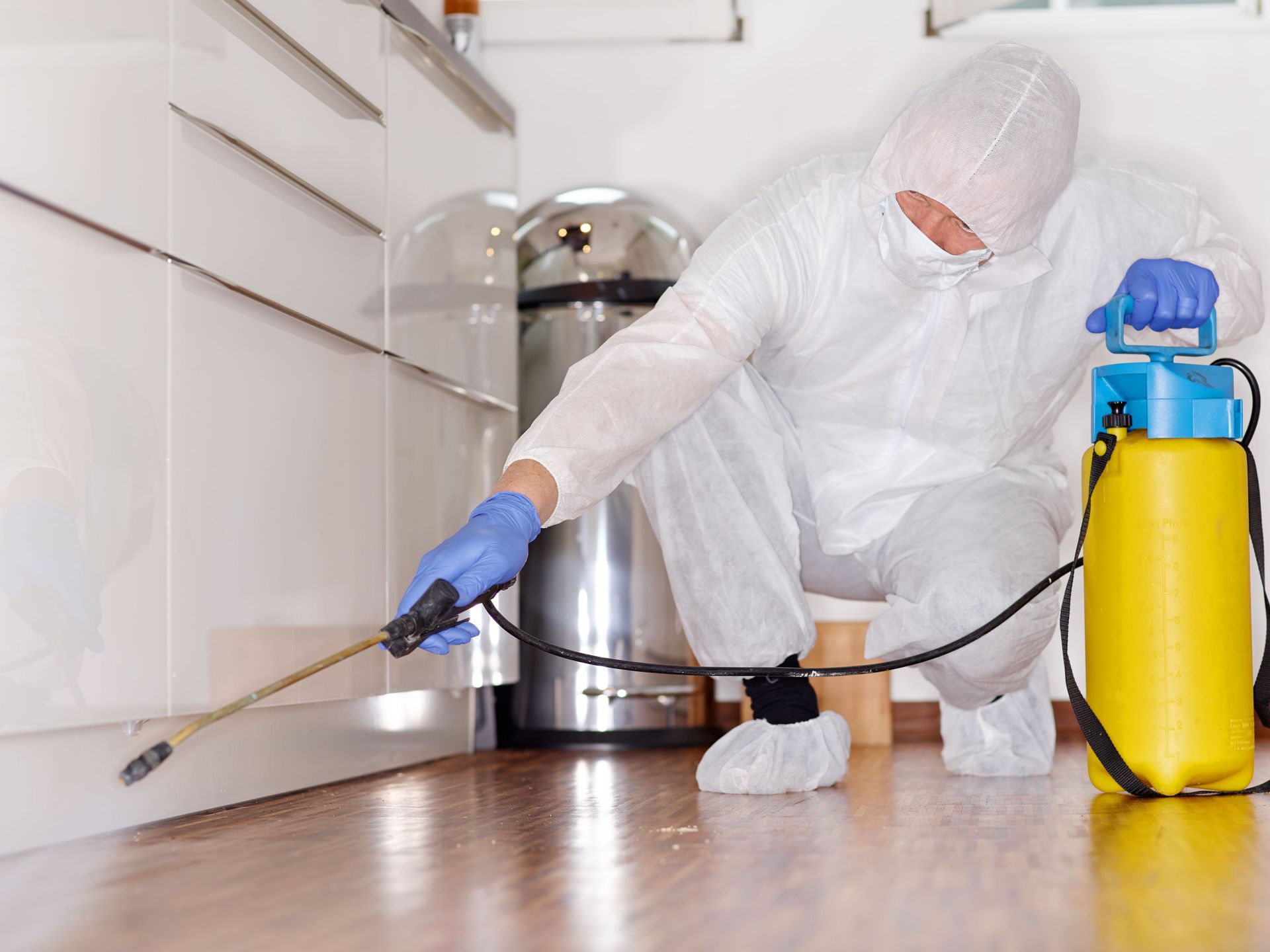 local pest control company