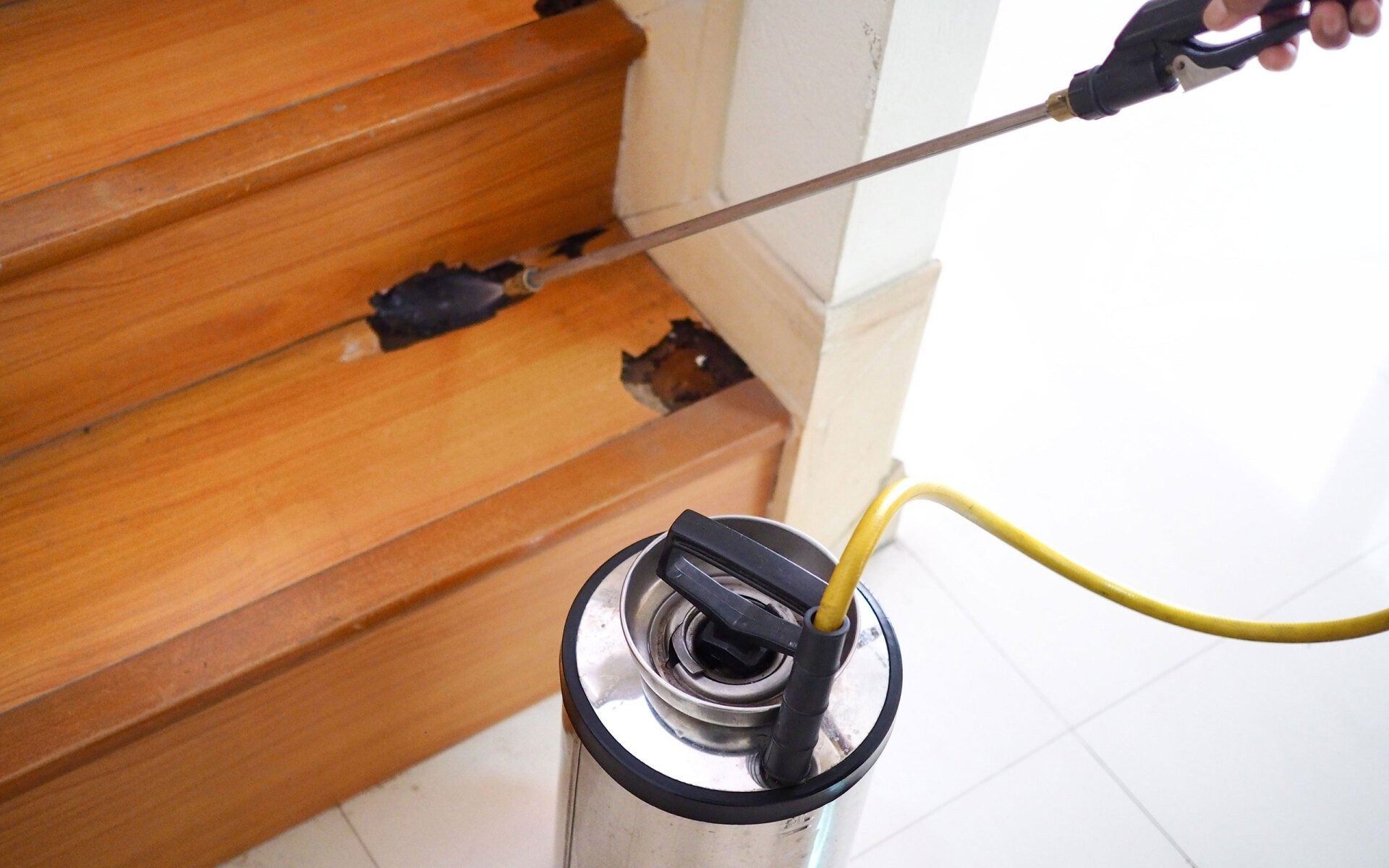 Crawford's Pest Control