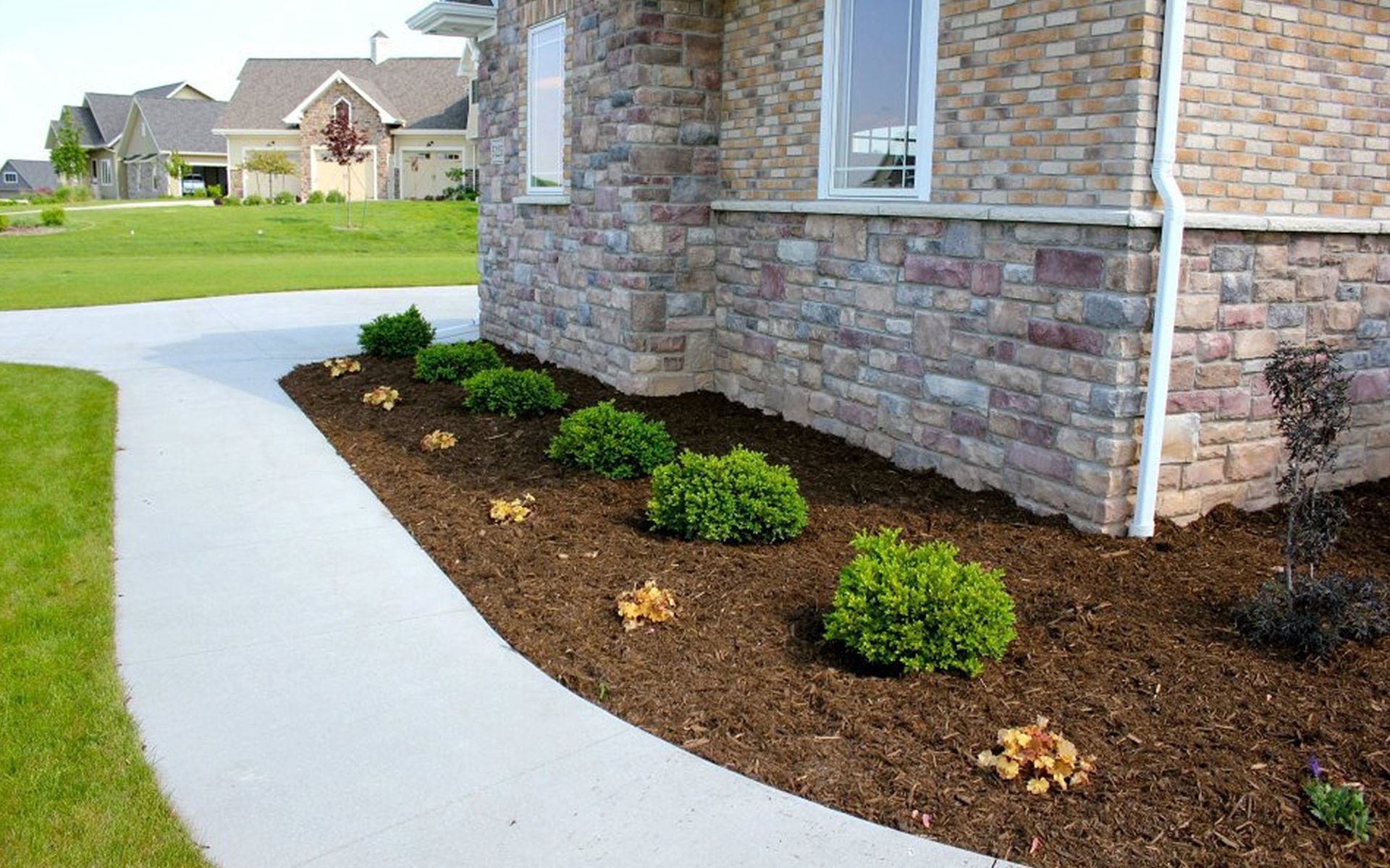 Landscape Installation