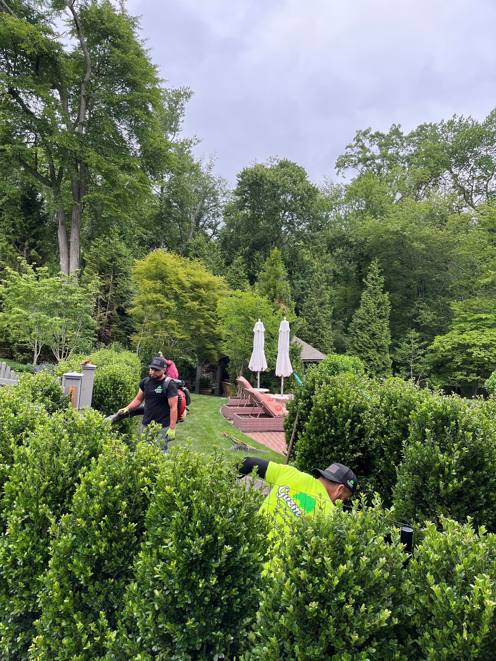 Workers trimming bushes in a lush green garden with a pool in the background on a cloudy day.