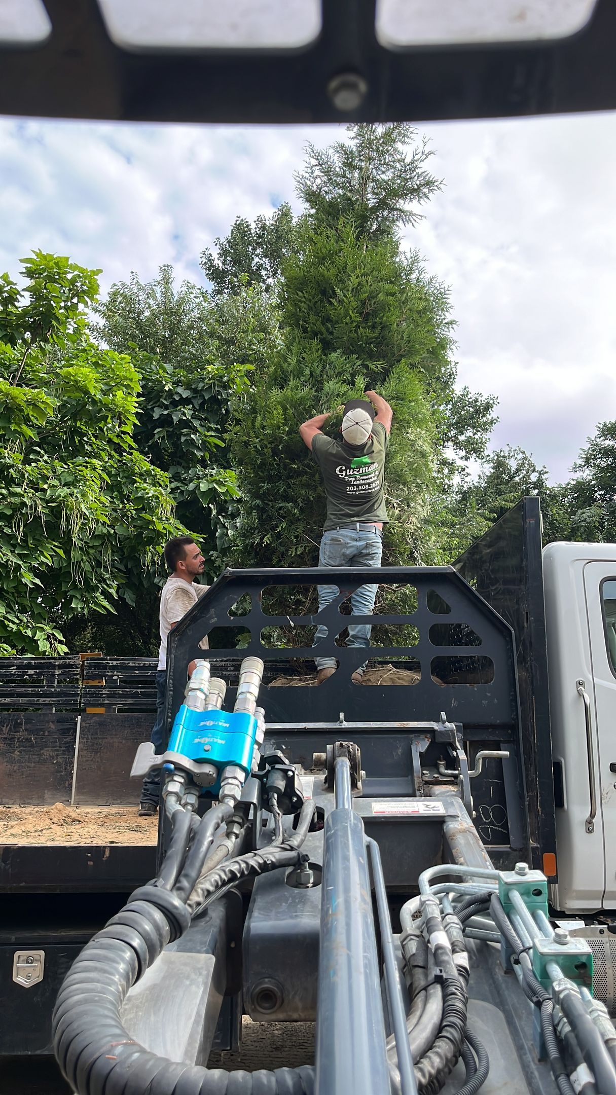 Two people trimming tree branches from a truck bed on a sunny day.