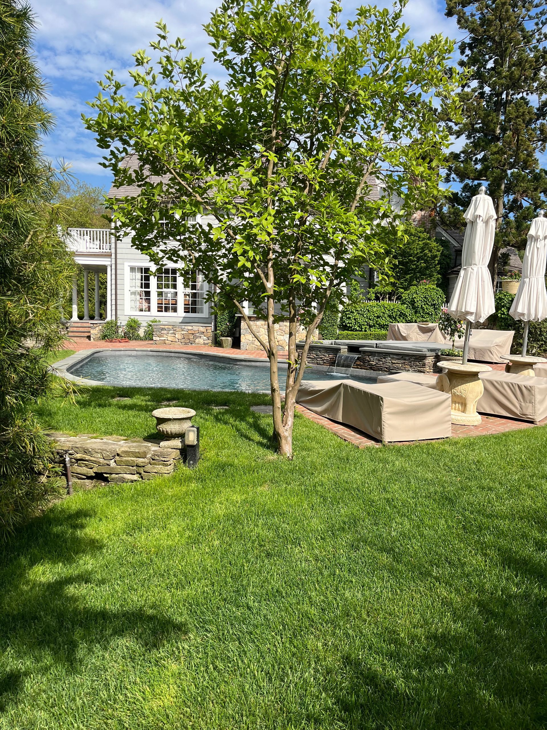 A green lawn with a tree in front of a house with a pool and patio under a blue sky.