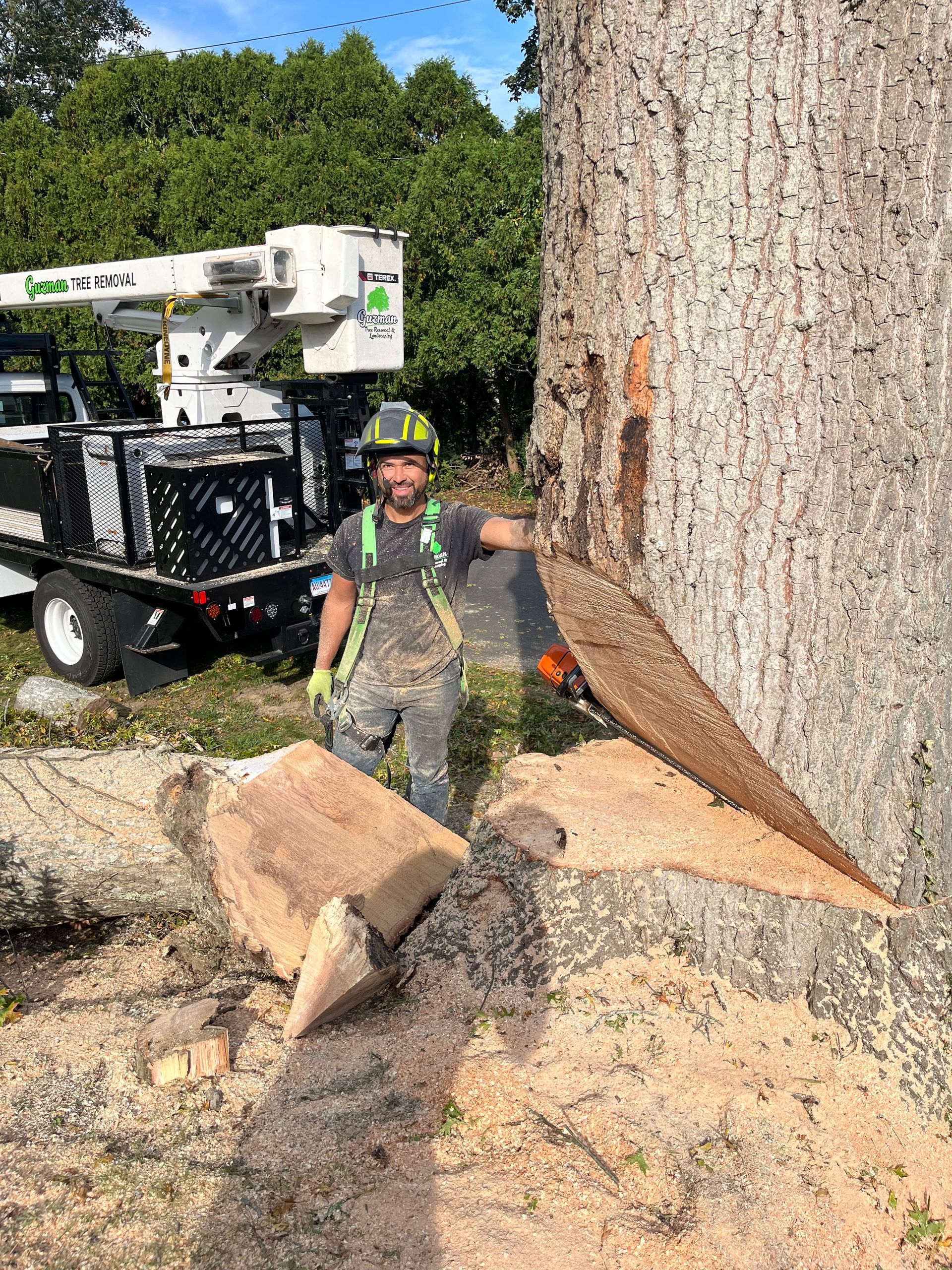 A man is standing next to a tree that has been cut down
