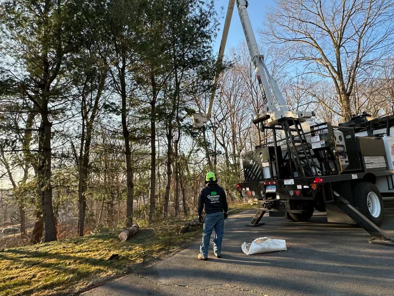 Tree service worker in lift bucket trimming tree branches; truck parked on asphalt.