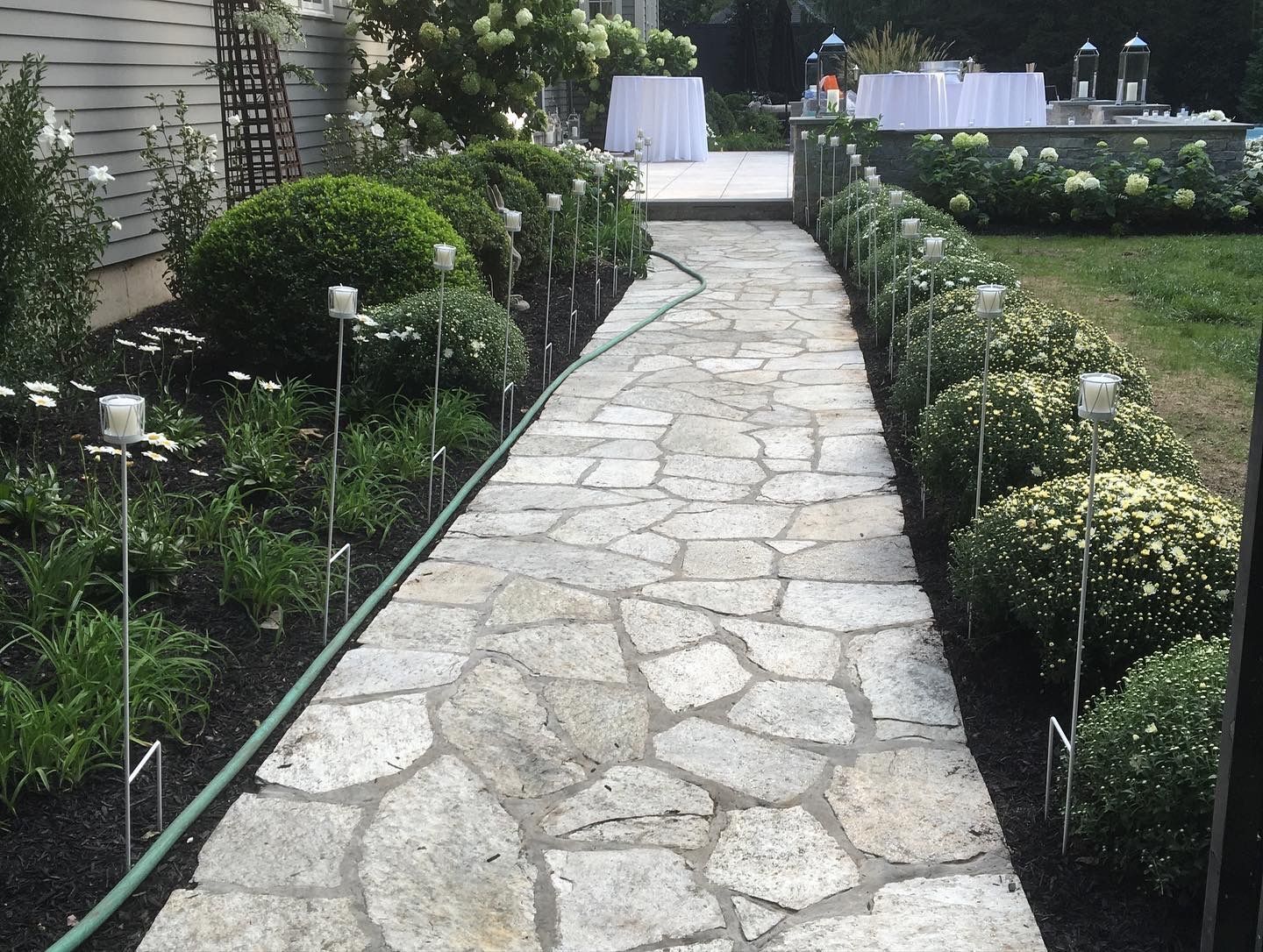 A stone walkway with a green hose going down it