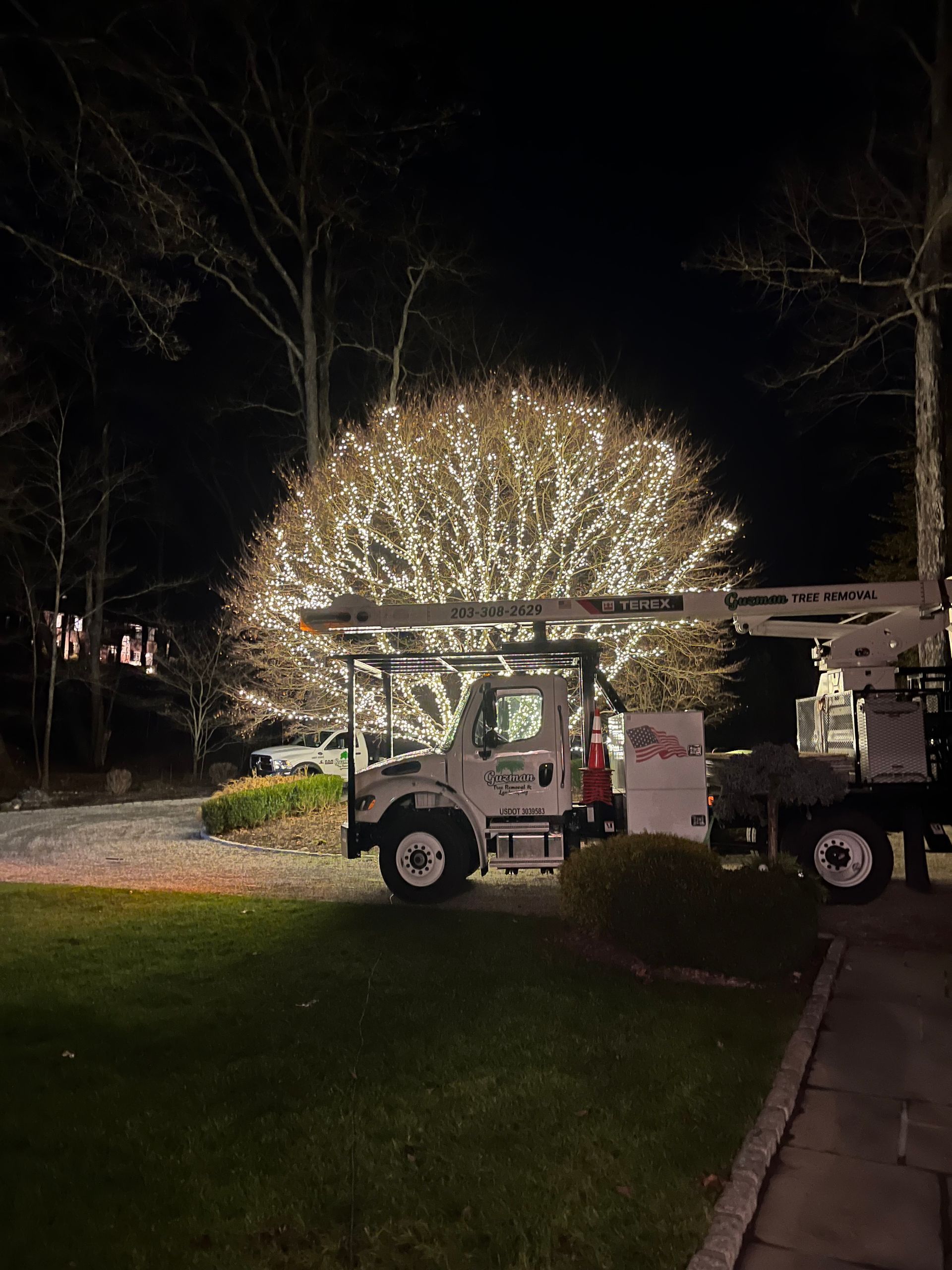 A truck is decorating a tree with christmas lights at night