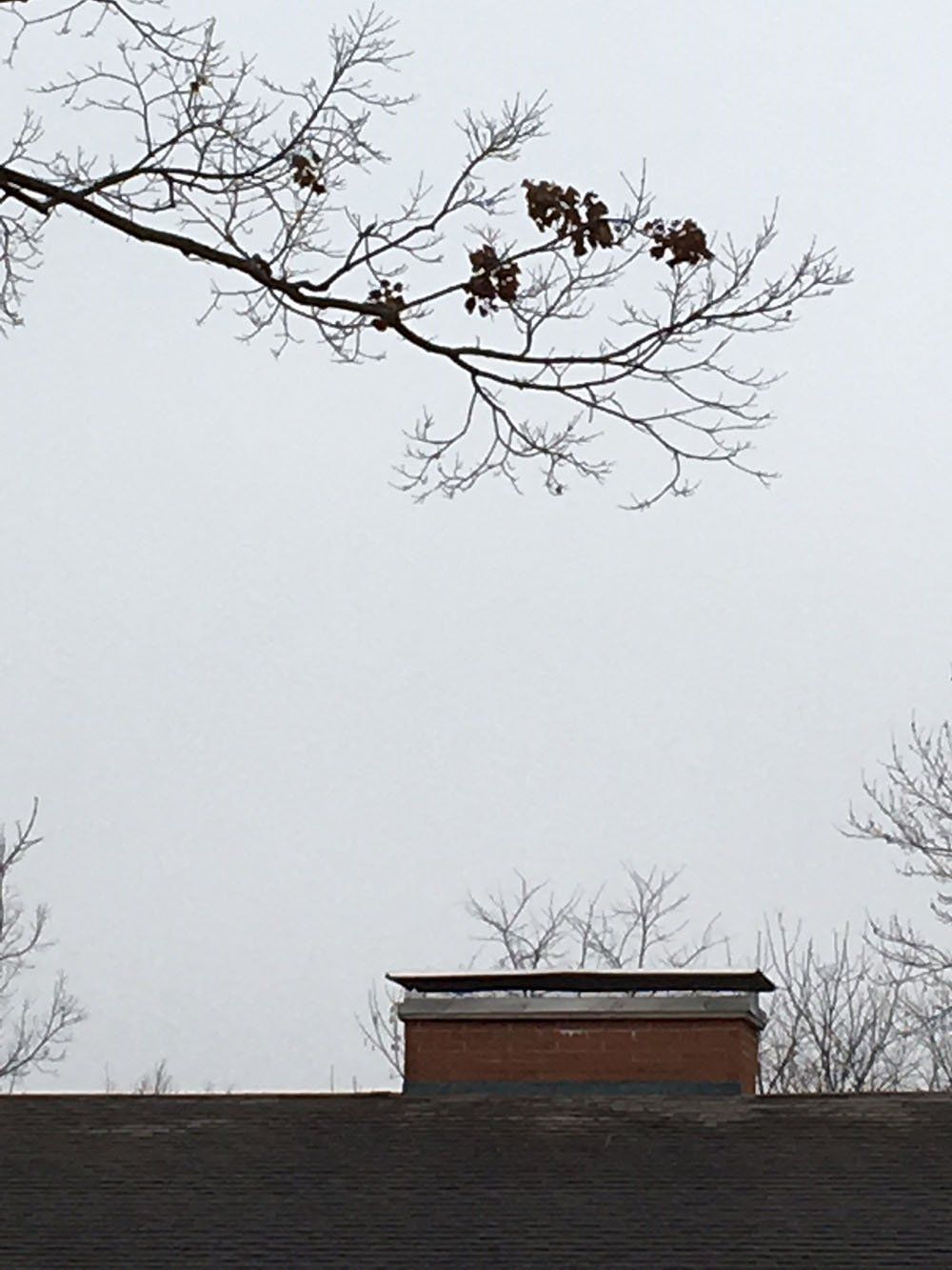 Expert chimney services