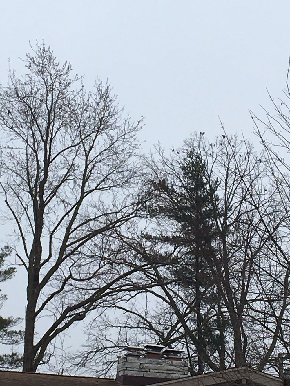 Expert chimney services