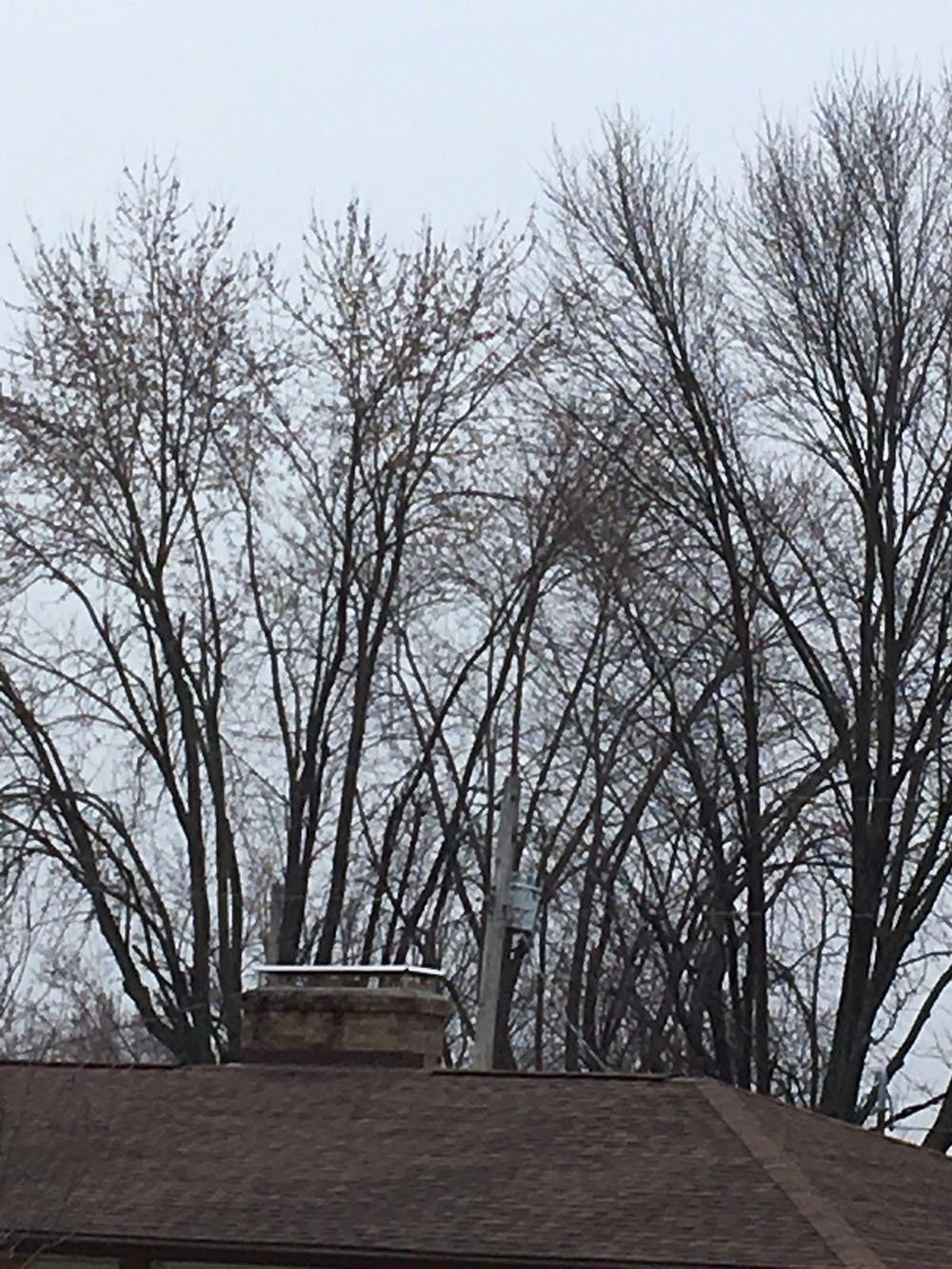 Expert chimney services