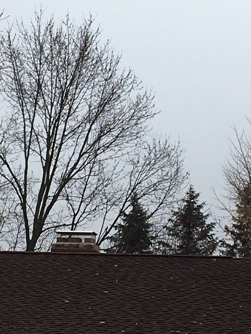 Expert chimney services