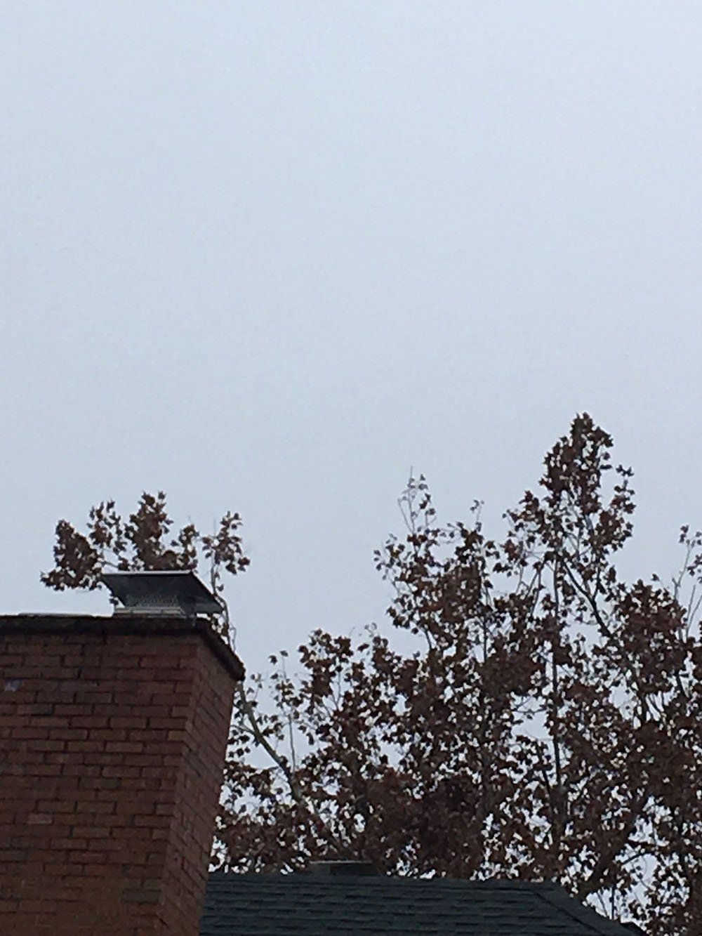 Chimney cap service