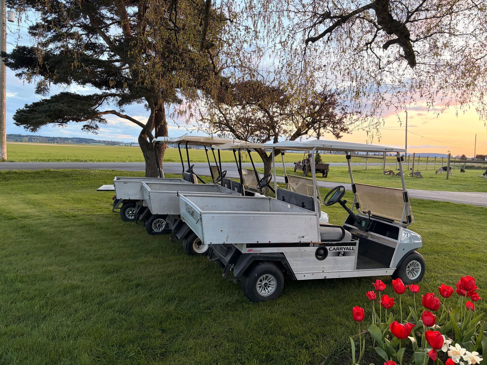 Utility club carts GAS 